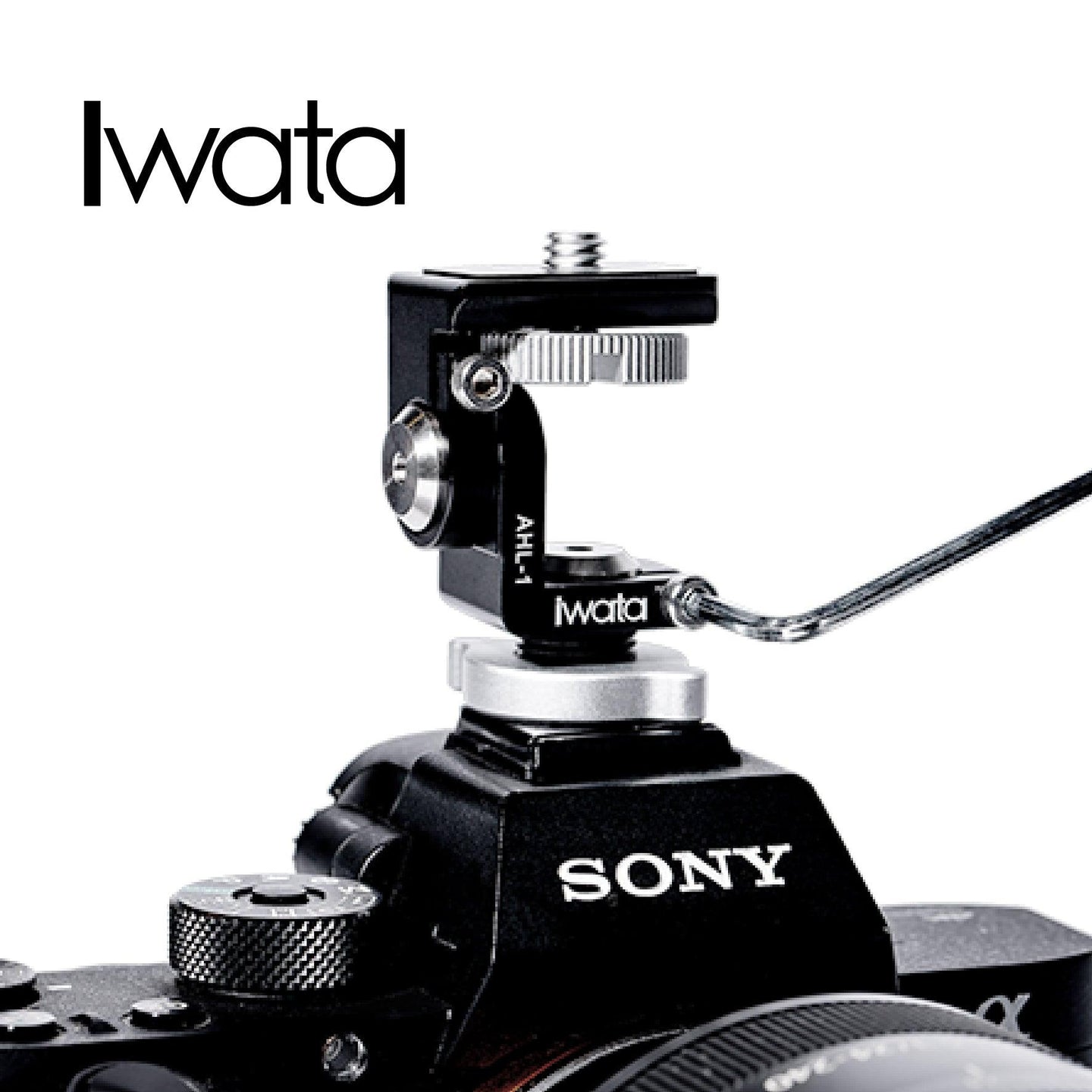iwata 熱靴雲台 - Artboard HK
